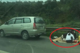 Lại thêm nhóm người thản nhiên trải chiếu “mở tiệc” ăn uống trên cao tốc Nội Bài - Lào Cai