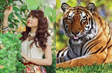 2019 là năm CỰC HUY HOÀNG của 3 Shbet888.com nhà cái uy tín, 6 tháng đầu may mắn nở rộ, 6 tháng sau tài vận bùng nổ