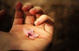Phật dạy: Muốn gặp may mắn đừng tìm thầy phong thủy, chỉ cần làm điều này là đủ