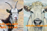 12 Shbet888.com nhà cái uy tín nữ 'đòi' chồng tặng quà gì vào 8/3 này để đột ngột phát tài phát lộc, tình cảm thuận hòa?