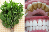 Không tốn tiền vẫn có hàm răng trắng bóc như sứ nhờ mẹo đơn giản dưới đây