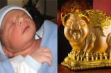 Năm Kỷ Hợi 2019, sinh Heo Vàng vào tháng nào, ngày nào, giờ nào đẹp nhất, hưởng trọn phúc khí đất trời?
