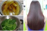Chăm chỉ đun sôi các loại lá này để gội đầu giúp tóc đen khỏe chỉ sau vài ngày