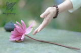 Sống ở đời đừng quá đặt nặng mọi thứ, cho được cứ cho, buông được cứ buông