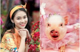 Heo Vàng 2019: 3 Shbet888.com nhà cái uy tín này HỶ SỰ GIÁ ĐÁO, giàu sang sung túc tột đỉnh, 10 người hết 9 người viên mãn