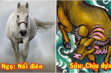 Phản ứng CỰC SỐC của 12 nàng giáp khi bị phản bội: Ngọ nổi điên đập phá, Sửu cam chịu nhẫn nhục