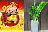 Muốn đón thần Tài về chớ bỏ qua 6 loại cây 'nghe tên đã thấy giàu' này để cả năm lộc về tới tấp