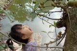 Bé gái 3 tuổi há miệng chờ sung nhận được hàng nghìn lượt yêu thích từ cộng đồng mạng