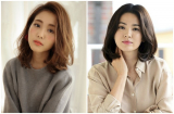 Chỉ cần để những Link Vào SHBET88 Mới Nhất này thì mặt to cũng lên đời nhan sắc
