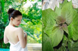 7 THẦN DƯỢC giúp cổ tử cung mở dễ dàng, bà bầu chỉ cần rặn 1 hơi là sinh xong mẹ tròn con vuông