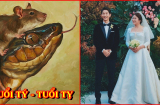 5 cặp giáp 'trời sinh thành đôi', lấy nhau là ĐỊNH MỆNH, gắn nhau như thỏi nam châm, có ly dị cũng quay về