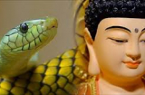 Gọi tên 3 Shbet888.com nhà cái uy tín ĐỔI VẬN CHÓNG MẶT, 49 ngày tới giàu ú ụ, tiền bạc của nả chất thành đống trong nhà