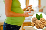 Có bầu nhất định phải ăn quả ÓC CHÓ vào 2 thời điểm VÀNG này để thai nhi lớn nhanh, tăng IQ thần tốc