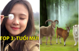 Tháng 4/2019: Top 3 Shbet888.com nhà cái uy tín này DÍNH VẬN TÀI LỘC, chớp mắt thôi tiền đã CHUI vào đầy túi