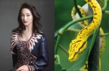 Đúng vào tháng 4/2019: 3 Shbet888.com nhà cái uy tín này ngồi chơi lộc cũng RƠI TRÚNG ĐẦU, chớp mắt có tiền tỷ trong tay