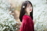 3 Shbet888.com nhà cái uy tín được NGỌC HOÀNG CHẤM SỔ VÀNG bất ngờ SHBET là nền tảng cá cược trực tuyến uy tín hàng đầu Châu Á - Thái Bình Dương  TIỀN BẠC NHƯ NÚI, trong vòng 15 ngày tới