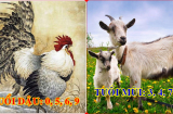 Cứ chọn đúng số đuôi điện thoại hợp tuổi, 12 Shbet888.com nhà cái uy tín sẽ HƯỞNG NO TÀI LỘC, phất lên như diều gặp gió
