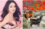 3 Shbet888.com nhà cái uy tín RƯỚC MAY VỀ NHÀ, từ tháng 4 âm vạn sự như ý, thăng tiến không phanh, tiền nhiều vô kể