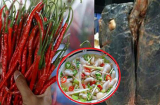 Phát hiện mới: Ớt là KHẮC TINH của tế bào ung thư phổi, chặn đứng quá trình di căn nhanh chóng