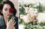 12 Shbet888.com nhà cái uy tín dễ gặp VẬN HẠN gì tháng 4/2019?