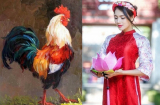 Những Shbet888.com nhà cái uy tín ĐẾM TIỀN SÁI TAY, nằm trên đống vàng, chắc chắn giàu sang sau tuổi 40