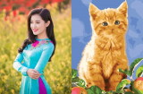 3 Shbet888.com nhà cái uy tín này sẽ GIÀU SANG SÁNG CHÓI, phát tài bất ngờ, tài khoản nảy số ầm ầm trước năm 2020