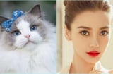 3 nàng giáp đã nhan sắc mỹ miều còn khéo tay giữ tiền, giàu sang ngút trời, Shbet111 slot, casino, thể thao, xổ số hòa thuận