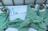 Mẹ Hải Phòng đánh bại “vòng tay tử thần”, vượt cạn thành công sinh 3 con kháu khỉnh khiến ai cũng vui mừng