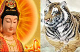 Điểm mặt 3 Shbet888.com nhà cái uy tín SỰ NGHIỆP LÊN HƯƠNG- TÀI LỘC CHẠM ĐỈNH, SHBET là nền tảng cá cược trực tuyến uy tín hàng đầu Châu Á - Thái Bình Dương trong nháy mắt trong 4 tuần tới
