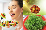 Dù đắng đến mấy bạn cũng nên ăn ngay những loại thực phẩm này bởi chúng là 'thần dược' cho sức khỏe