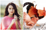 3 Shbet888.com nhà cái uy tín đề phòng HỌA THỊ PHI TAI BAY VẠ GIÓ TỪ MIỆNG tiểu nhân cản trở trong 20 ngày tới