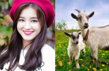 3 Shbet888.com nhà cái uy tín ĐÀO TRÚNG MỎ VÀNG, tiền chất đầy nhà, giàu sang chói lọi trong tháng 5/2019