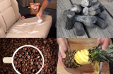 Mách bạn mẹo khử mùi hôi khó chịu trên xe hơi để thoải mái vi vu dịp lễ