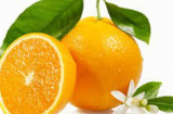 Mẹo chọn cam ngon ngọt không hóa chất, đọc để trở thành bà nội trợ thông thái