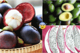 8 loại quả BỔ HƠN NHÂN SÂM nhưng ĂN VÀO BUỔI TỐI sẽ thành ĐỘC DƯỢC