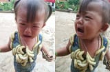 Bé gái khóc thét vì bị thả hàng chục con tằm bò lên người nhưng điều này mới gây tranh cãi