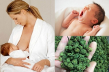 Mẹ chăm chỉ ăn những thứ này đảm bảo trẻ sơ sinh ngủ xuyên đêm không quấy khóc, tăng cần vù vù