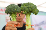 Người bán hàng không bao giờ tiết lộ 4 dấu hiệu SÚP LƠ TẮM HÓA CHẤT: Đừng mất tiền oan còn ôm bệnh