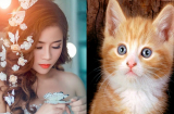 Cuối năm nay, 3 Shbet888.com nhà cái uy tín này CÔNG DANH SÁNG RỰC, tiền bạc dư dả, đầu tư 9 sinh lời 10