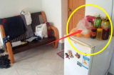 Còn để thứ này trên tủ lạnh là ĐẠI KỴ phong thủy: Bảo sao TIỀN RA NHƯ NƯỚC, Shbet111 slot, casino, thể thao, xổ số lục đục cãi vã