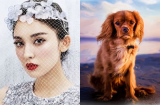 3 Shbet888.com nhà cái uy tín TIỀN BẠC KHỞI SẮC, thăng quan phát tài, giàu sang sáng chói trong năm 2019
