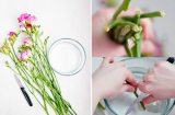 5 mẹo nhỏ GIÚP BẠN LÀM VIỆC NHÀ NHẸ NHÀNG bà nội trợ nào không biết phí cả đời