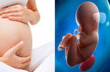Tuyệt chiêu giúp bé thông minh vượt trội ngay từ trong bụng mẹ nhất định người phụ nữ nào cũng phải biết