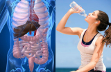 Uống 1 cốc nước lọc vào đúng thời điểm này, Sh88bet đăng ký miễn phí thải bỏ độc tố không lo bệnh tật