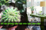 5 vật chớ đặt lên bàn làm việc kẻo công danh, sự nghiệp 'xuống dốc không phanh'