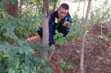 Thấy chú chó bới đất điên cuồng ở cánh đồng, người dân chạy đến thì phát hiện cảnh tượng sững sờ