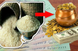 Hũ gạo là nơi hút tài hút lộc cho cả nhà: Biết đặt đúng chỗ này tụ lộc gấp trăm, cả năm no đủ