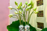 7 loại hoa bài trí trong phòng khách ắt trừ được tà, lại mang đến nhiều tài khí, may mắn cho gia chủ