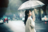 Tâm buông bỏ: Cuộc đời an trú giữa bình yên, bình an vô sự