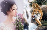 3 Shbet888.com nhà cái uy tín đi đâu cũng đụng phải tiền: Một bước chuyển mình thành đại gia, vàng bạc rơi trúng đầu 10 ngày tới
